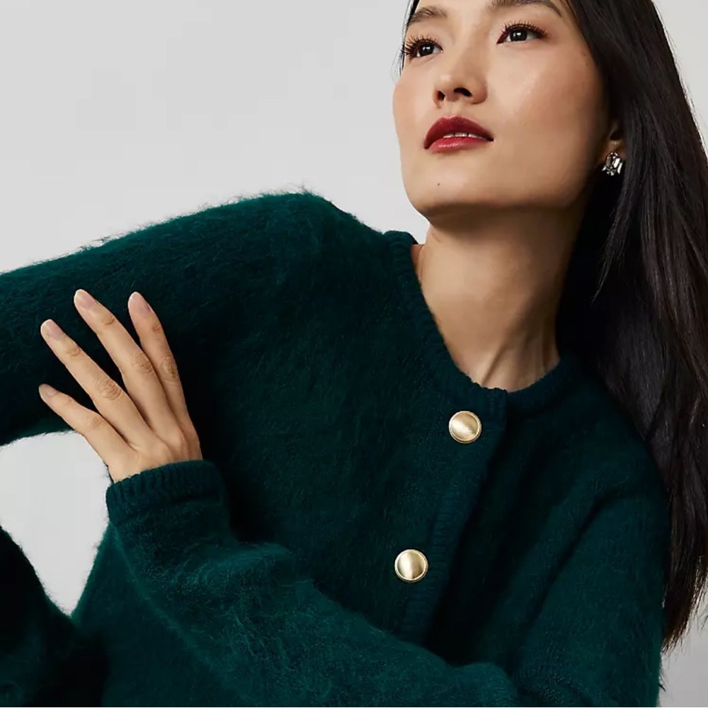 Ann Taylor - BRAND NEW Sweater